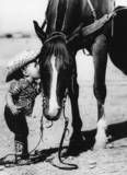child and horse Pictures, Images and Photos