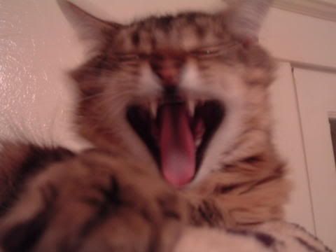 Jack's hungry