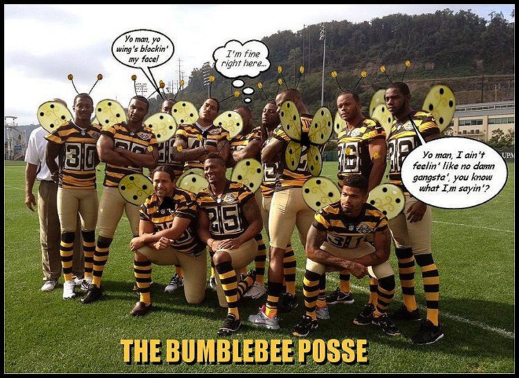 steelerbumblebeeposse_zpsd3a545a2.jpg