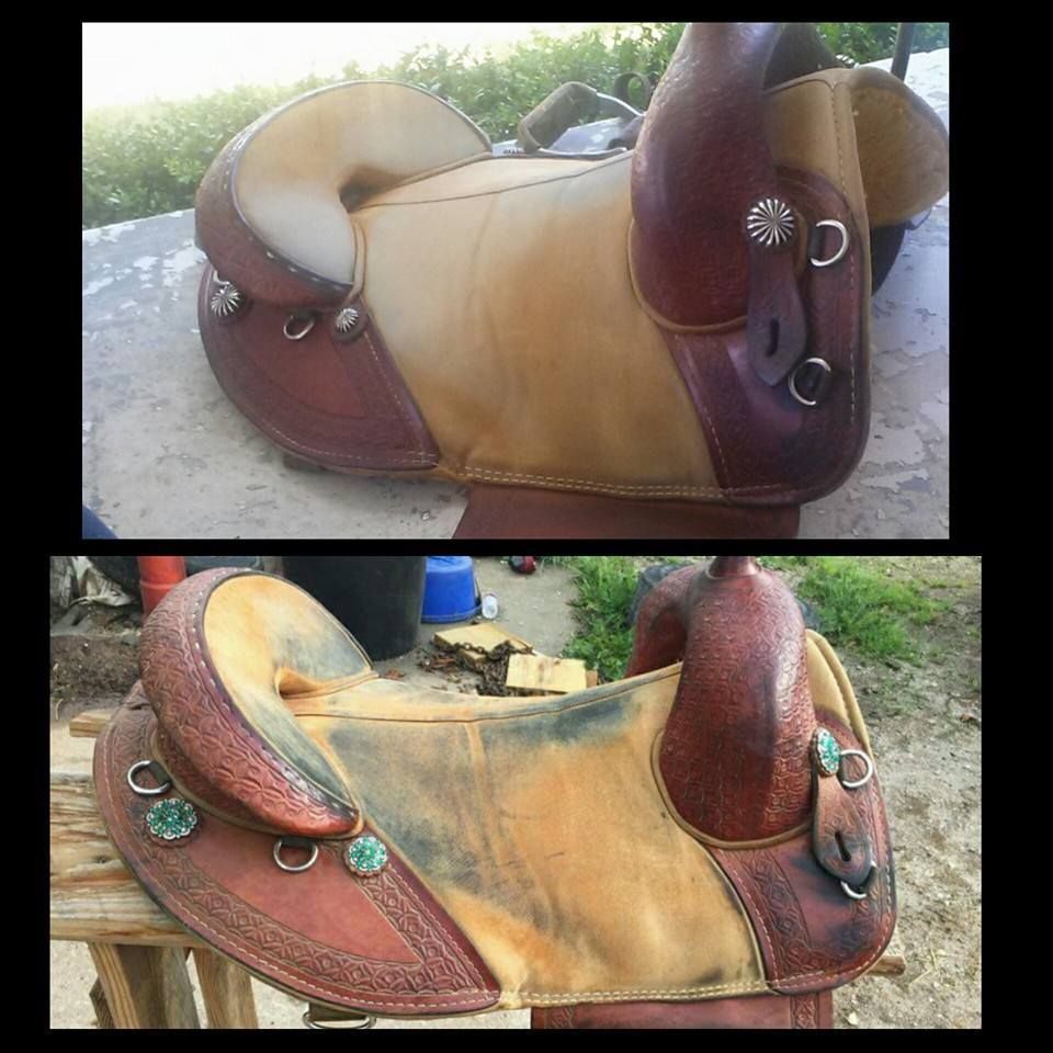  photo saddlebeforeafter_zps41n38fea.jpg