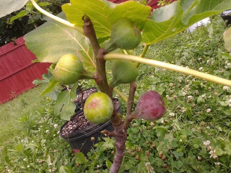 [BMpast_zps4a85b456]