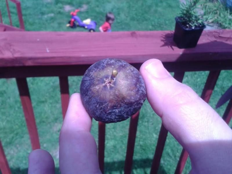 [Preto1_zps371a1e10]