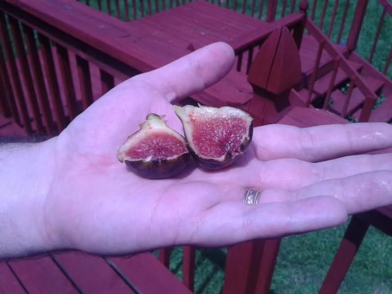 [Preto2_zps9dbbeffb]