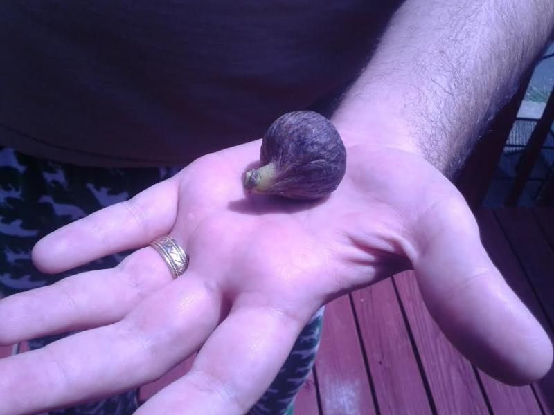 [Preto4_zps4f0a1968]