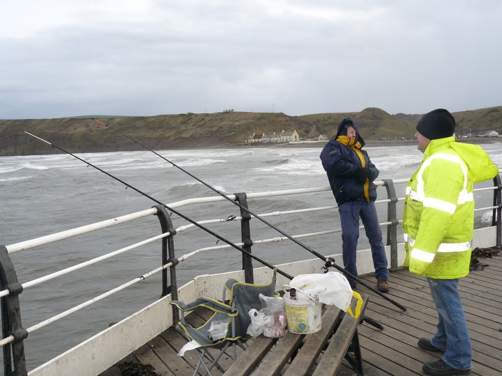 Big catches today on saltburn pier World Sea Fishing Forums