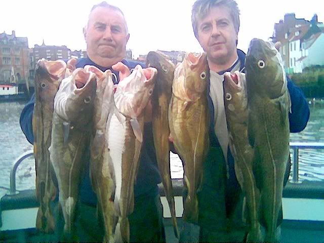 whitby cod fishing - whitby fishing trips