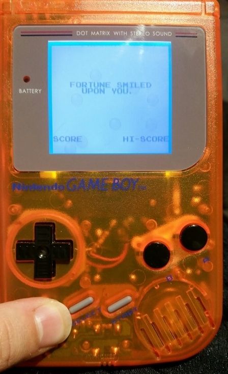 photo 2e5fa7ba-109f-491c-a64f-c92a6a544eeb.jpg