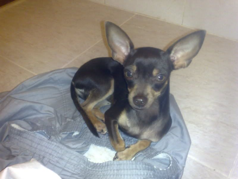 [Image: 12272009036.jpg]