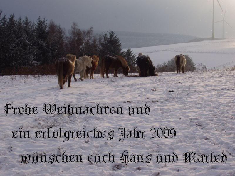 Frohe Weihnachten