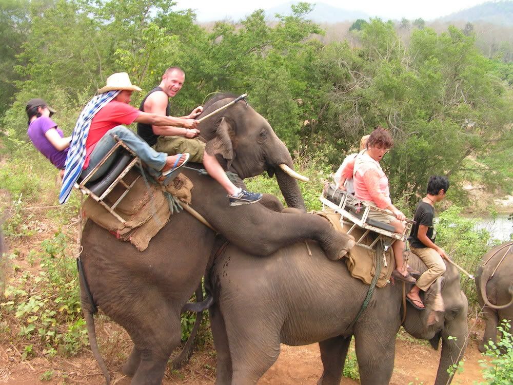 elephant-ride-sex.jpg