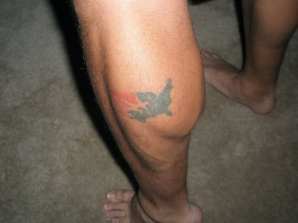 calf.jpg