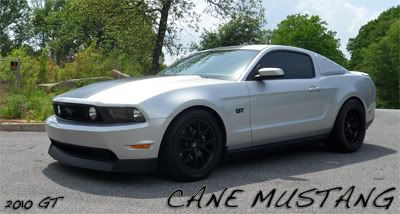 newmustang.jpg