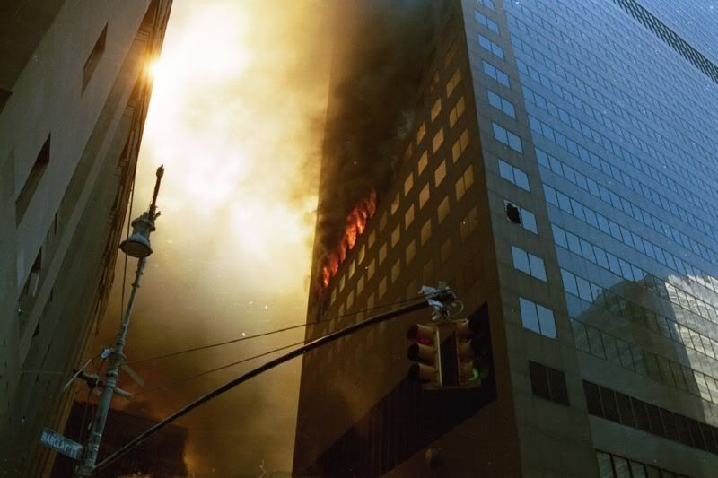 WTC709.jpg