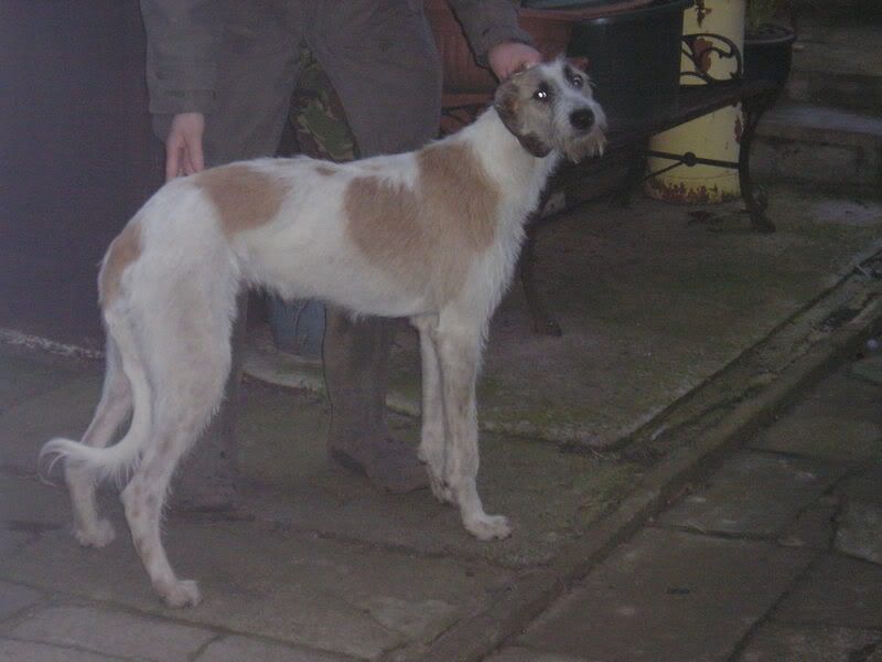 PB200052.jpg