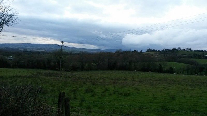 allotmentview.jpg