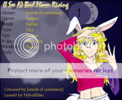 User Image