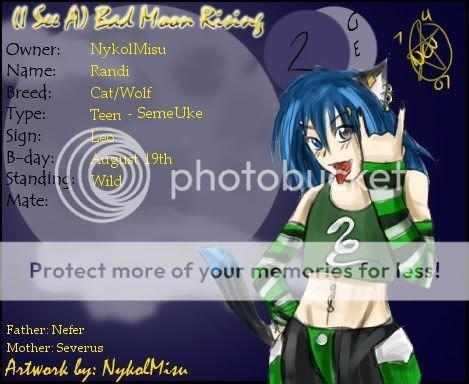 User Image