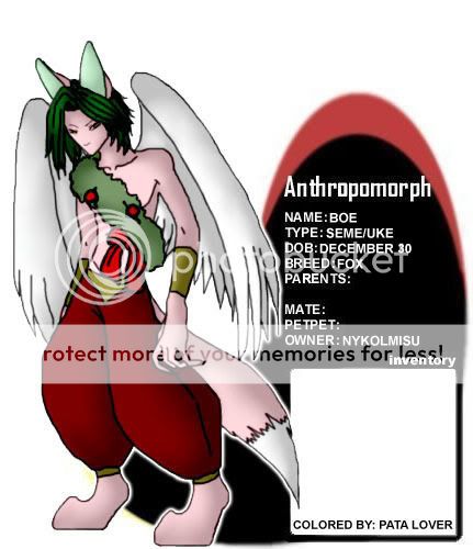 User Image
