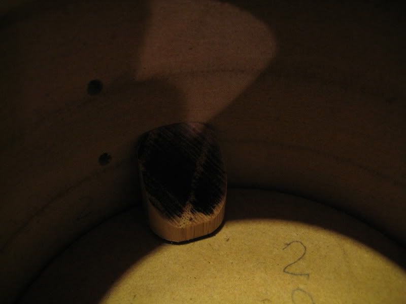 IMG_2580.jpg