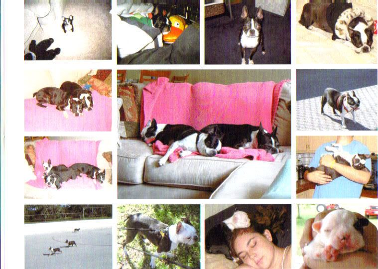 Photobucket - Video and Image Hosting