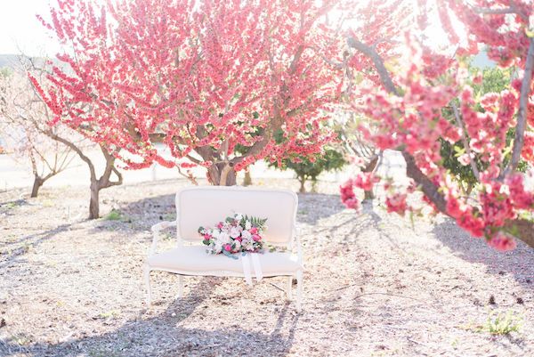  Cherry Blossom Bridal Portraits at Hawk Ranch