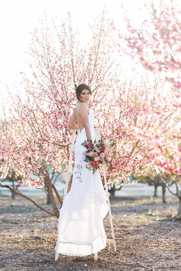  Cherry Blossom Bridal Portraits at Hawk Ranch