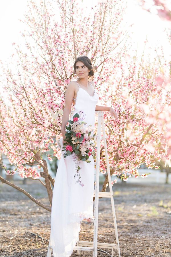  Cherry Blossom Bridal Portraits at Hawk Ranch