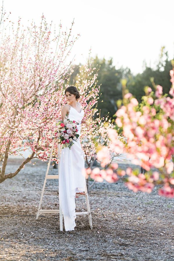  Cherry Blossom Bridal Portraits at Hawk Ranch