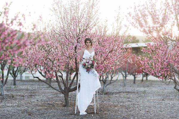  Cherry Blossom Bridal Portraits at Hawk Ranch