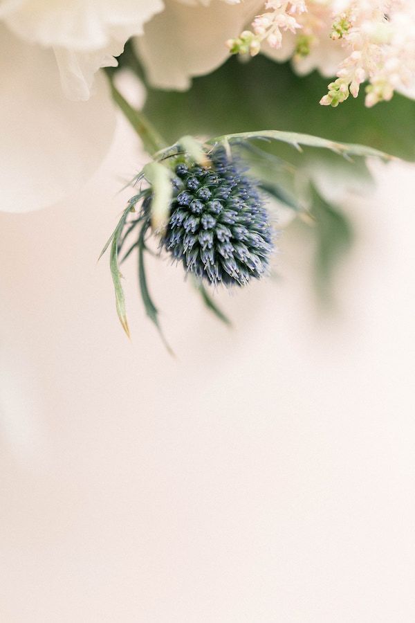  Pretty Pastels at Cornerstone Manor