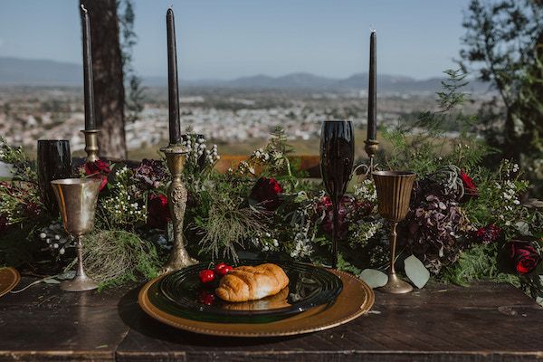  Dark and Moody Temecula California Wedding Inspo