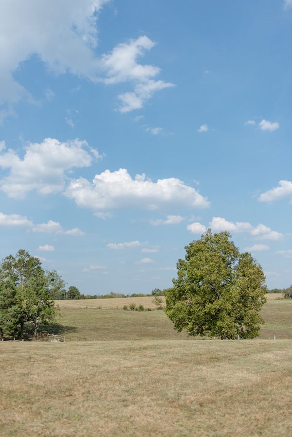  Southern Charm Meets Equestrian Elegance at Warrenwood Manor