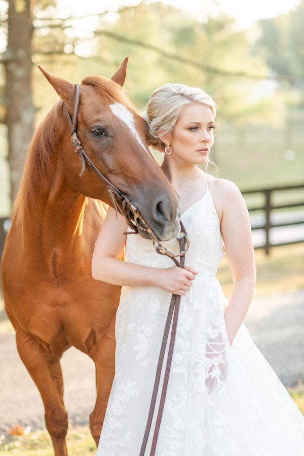  Southern Charm Meets Equestrian Elegance at Warrenwood Manor