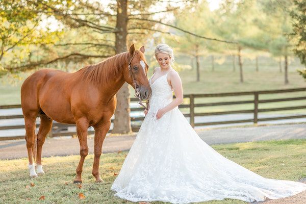  Southern Charm Meets Equestrian Elegance at Warrenwood Manor