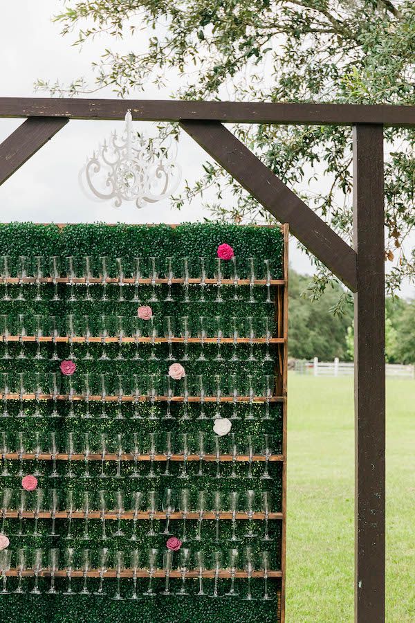  The Pink Cacti in Dade City Florida