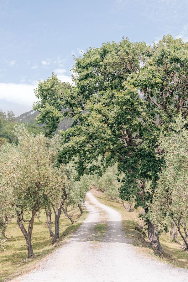  Elegant Wedding by the Sea of Cinque Terre in Italy