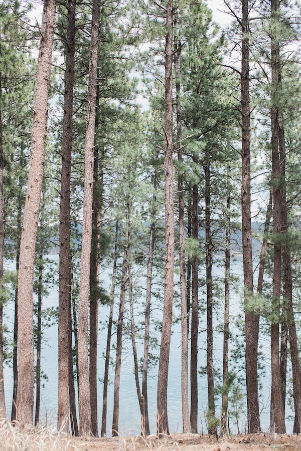  Lake Elopement in the Black Hills, South Dakota