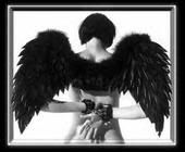 https://i24.photobucket.com/albums/c33/theWoozy/Mieli_sirdziai/d3cbf403.jpg