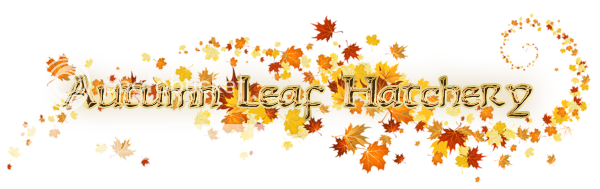 Autumn-Leaf-Hatchery-Banner_zpsrep1u72t.png