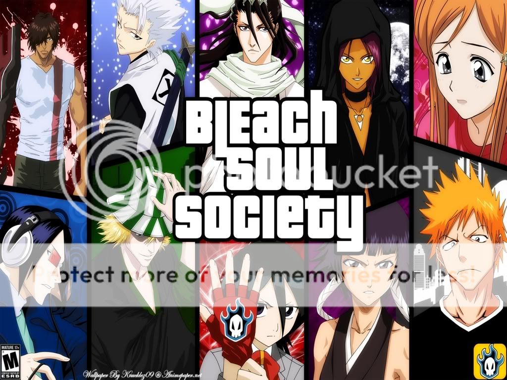 Order of the Soul Society banner