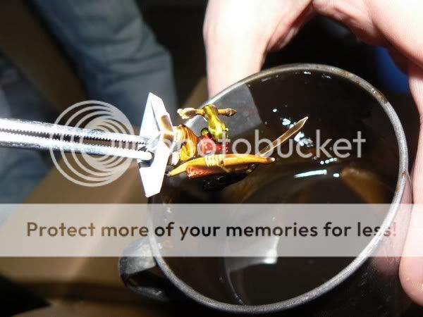 Click to see full-sized image Image