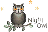 :nightowl: