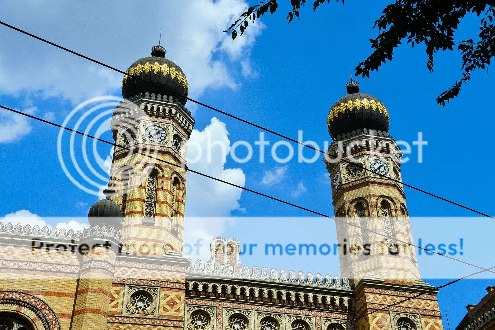  photo SinagogueDohany_2195.jpg