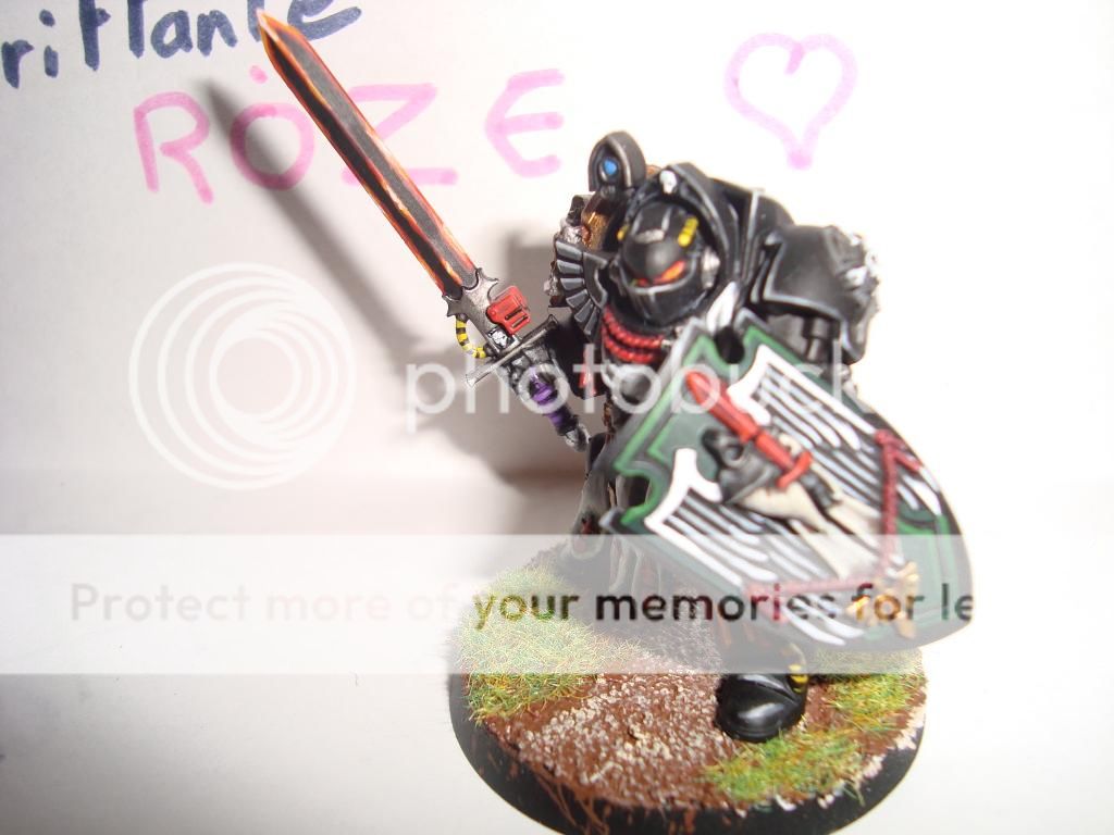 DSC02220_zps44c48afb.jpg